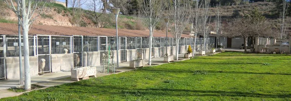 Instalaciones amplias y modernas de criadores de perros en Barcelona.
