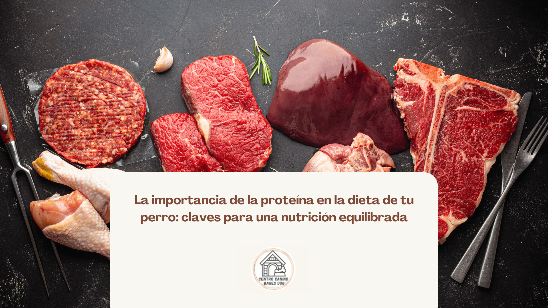 Imagen de carnes rojas usada para blog de Bages Dog: La importancia de la proteína en la dieta de tu perro: claves para una nutrición equilibrada