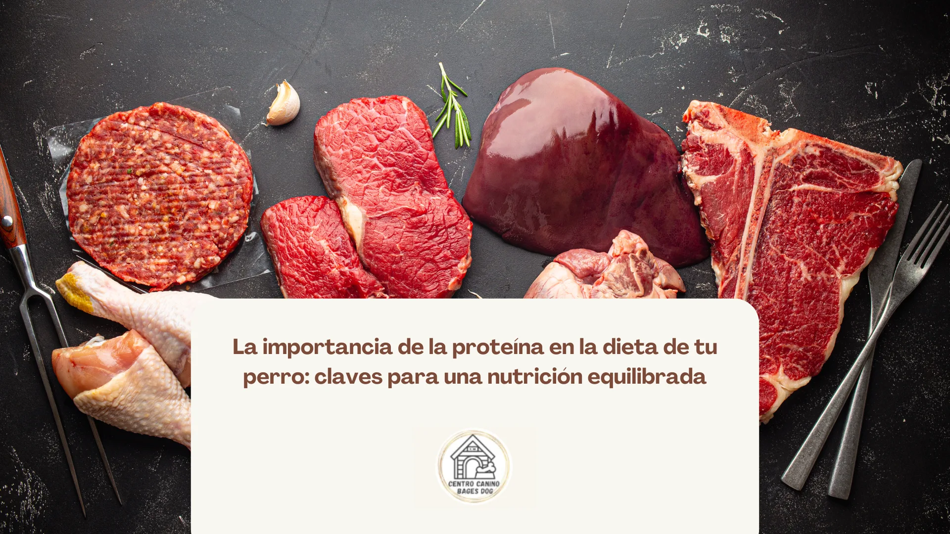 Imagen de carnes rojas usada para blog de Bages Dog: La importancia de la proteína en la dieta de tu perro: claves para una nutrición equilibrada