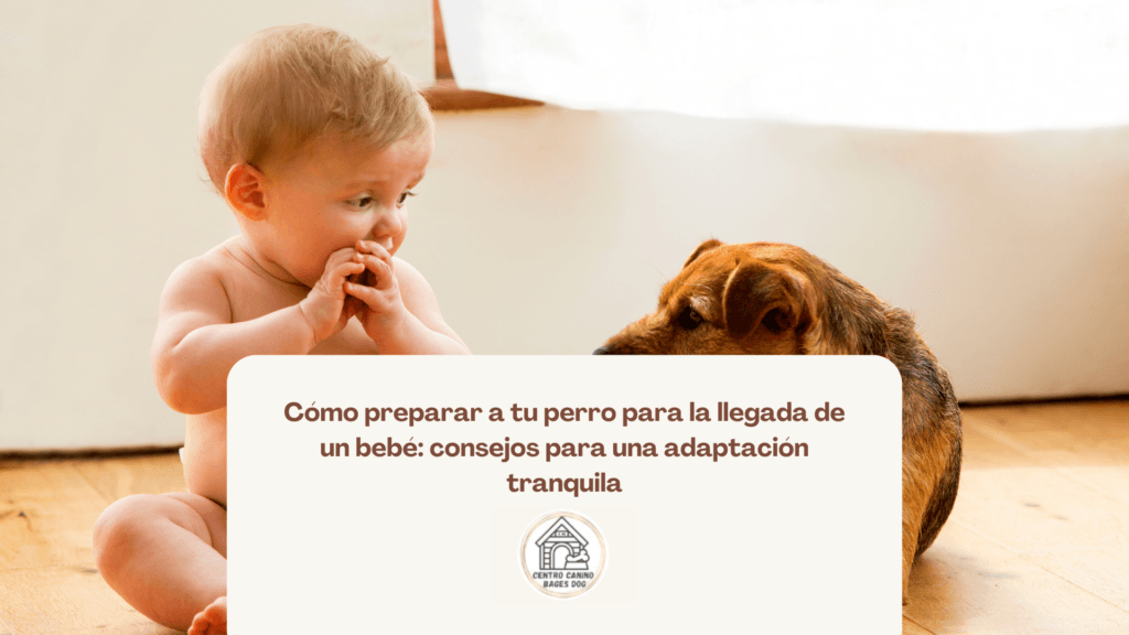 bebé con perro usado como fondo de blog de cómo preparar a tu perro para la llegada de un bebé de bages dog