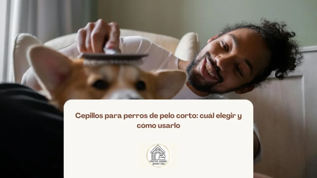 Una imagen de un hombre sonriente con cabello rizado y barba tomándose una selfie peinando a su perro de pelo corto y color claro en un sofá beige, utilizada como fondo en un blog de Bages Dog