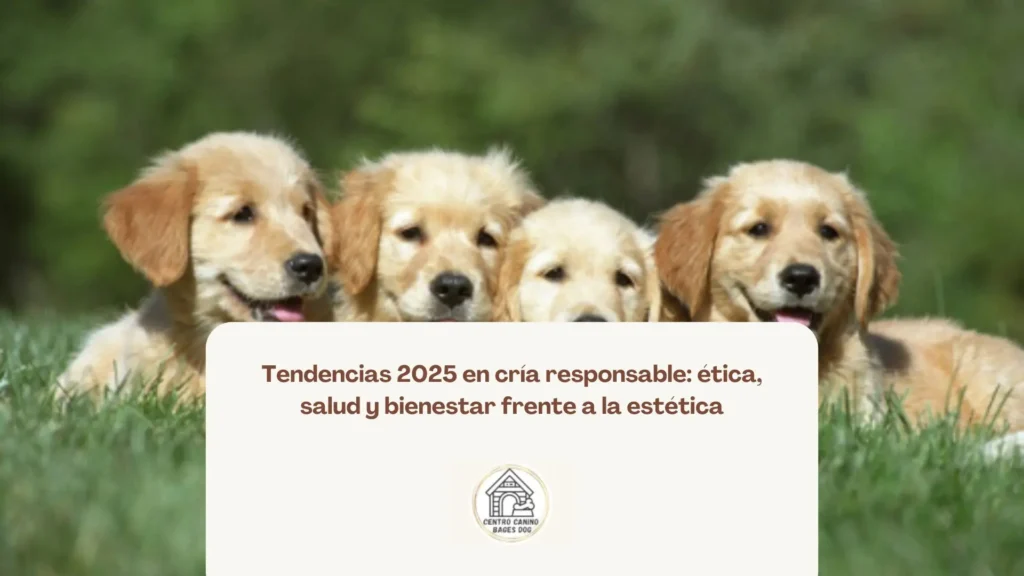 Cachorros jugando en un espacio al aire libre, parte del proceso de socialización temprana en una cría responsable