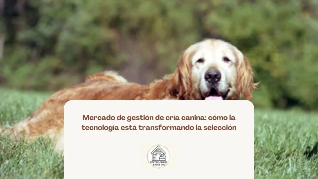 Criador canino utilizando un programa informático para planificar y registrar la evolución de su camada
