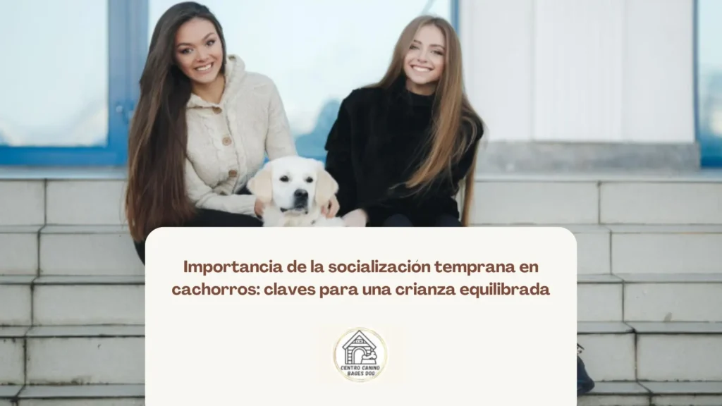 Socialización temprana entre cachorros en entorno controlado, parte clave en su desarrollo equilibrado