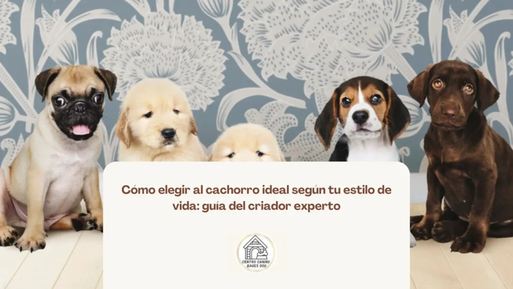 Perro cachorro tranquilo preparado para ser adoptado según el estilo de vida de su nueva familia