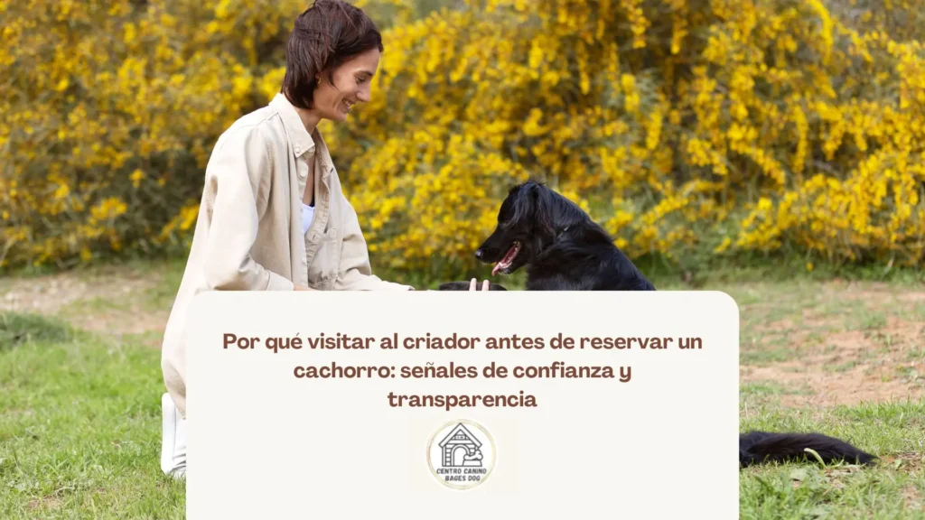 Padres e hijos conociendo el entorno donde crecen los cachorros antes de tomar una decisión
