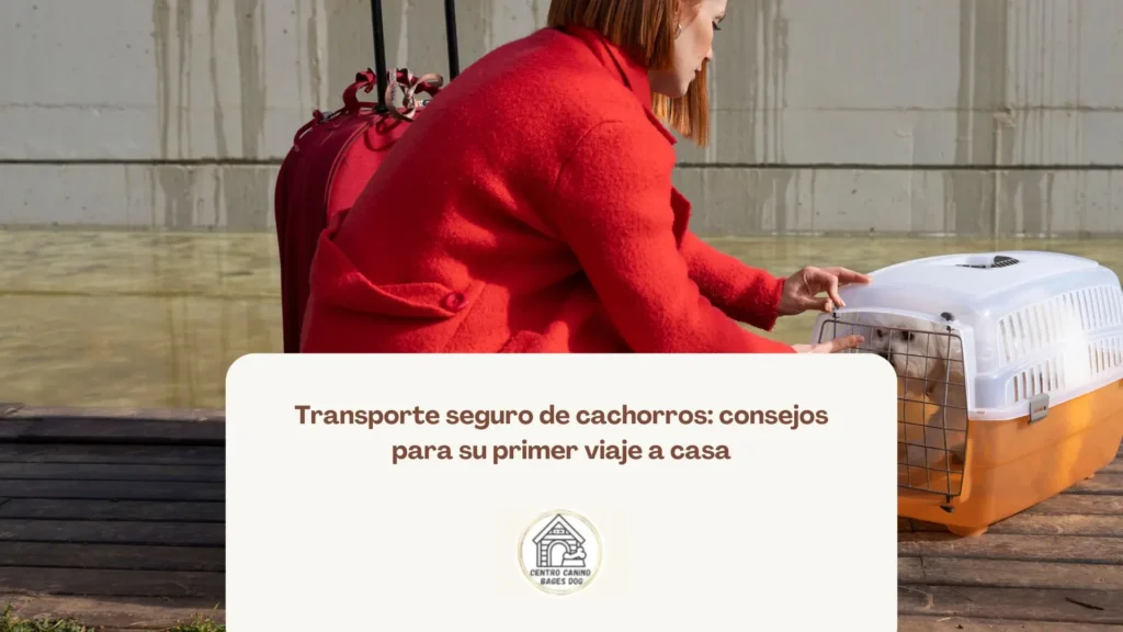 Cachorro viajando en transportín seguro con manta suave para su primer trayecto a casa