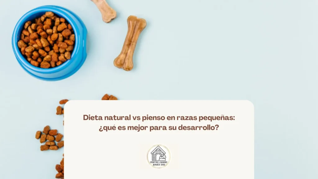 Comida natural casera ideal para perros de raza pequeña