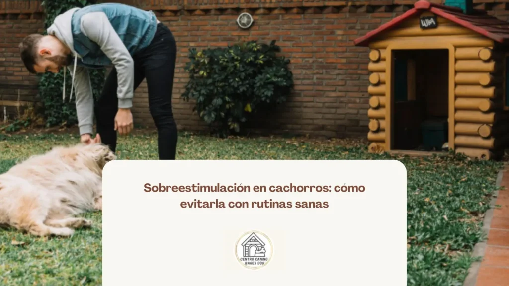 Cachorro durmiendo después de una sesión de juego tranquila