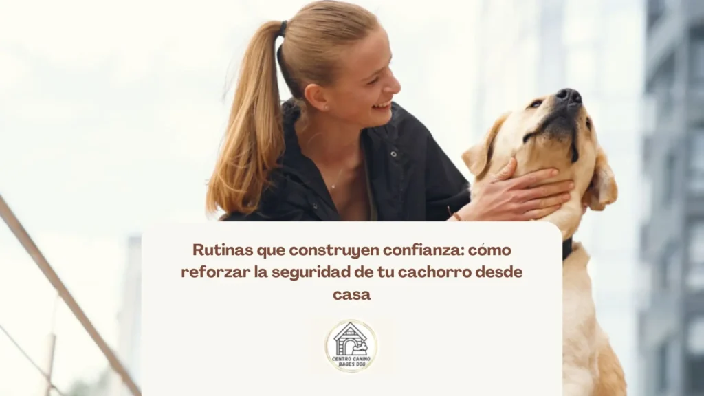 Cachorro descansando en su espacio personal con tranquilidad